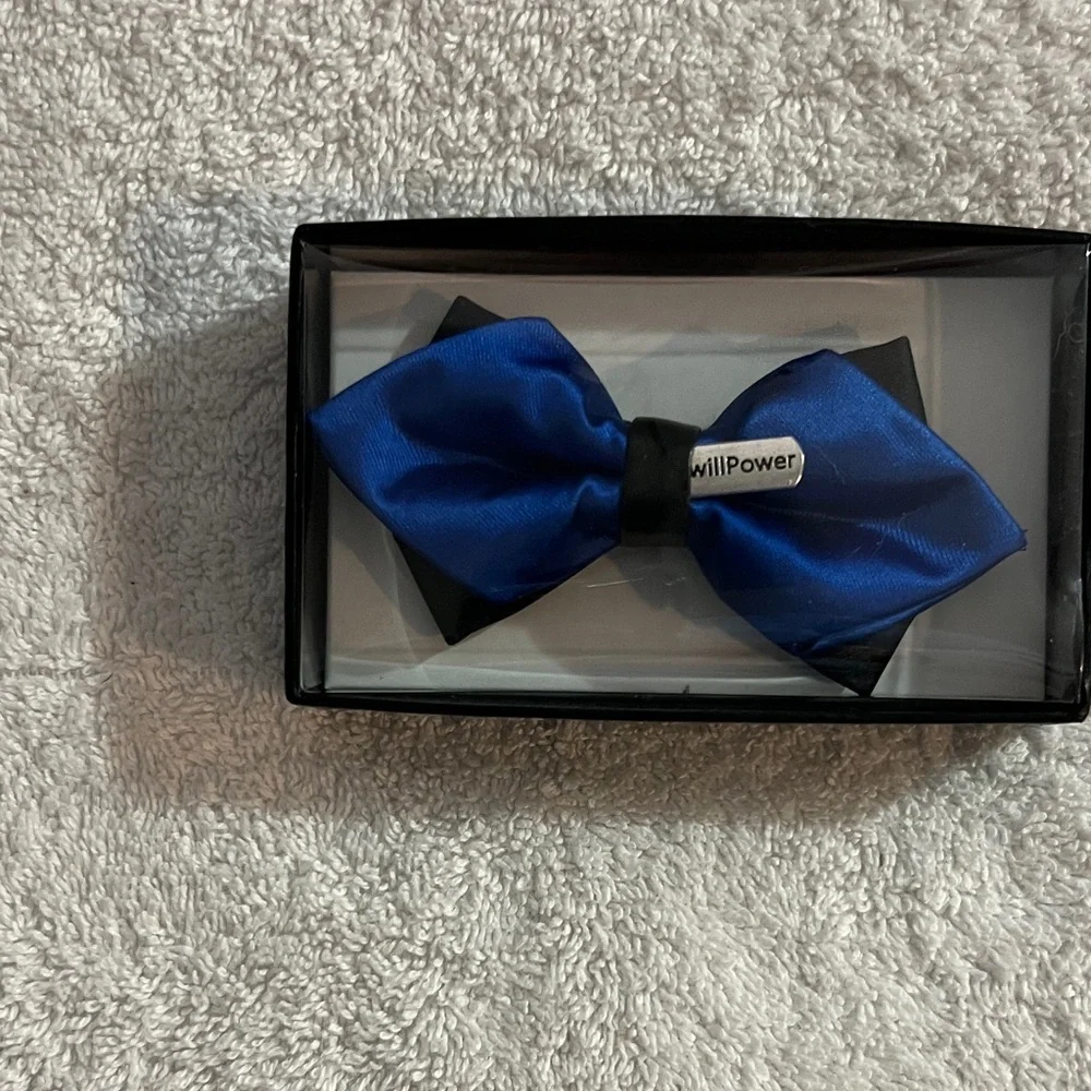 Tytus Ties Blue Satin Willpower Bow Tie for Boys